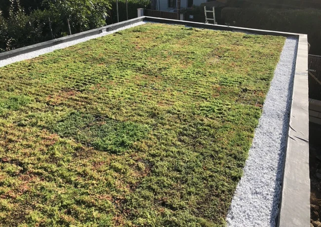 Entretien de toitures végétalisées